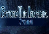 Beyond the Invisible: Evening Steam Ключ
