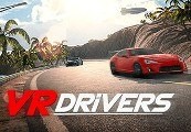 VR Drivers PC Steam Ключ