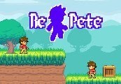 RePete Steam Ключ