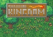 Survival Kingdom Steam Ключ