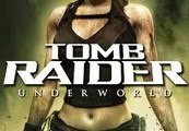 Tomb Raider: Underworld Steam Подарок