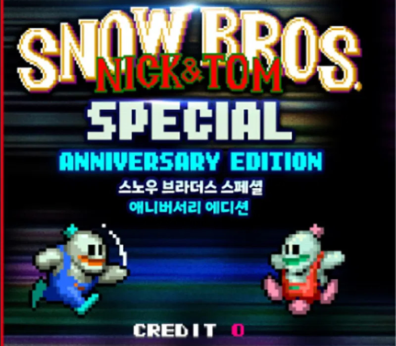 Snow Bros. Special Anniversary Edition PC Steam CD Key