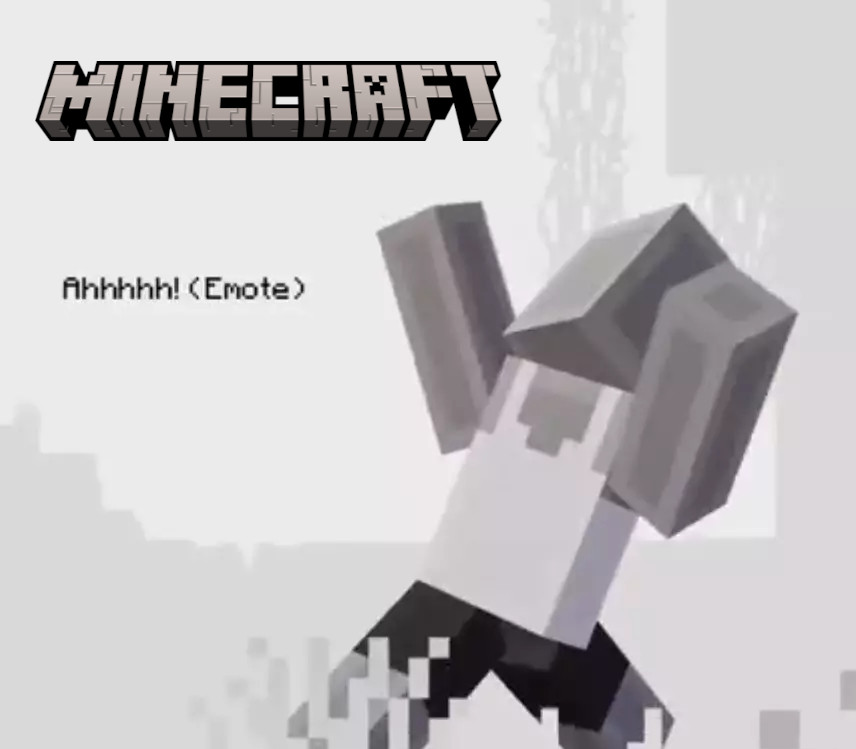 Minecraft - Support A Streamer emote DLC PC CD Key