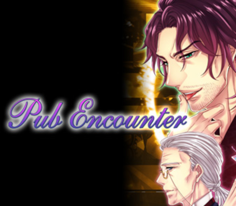 Pub Encounter PC Steam Ключ