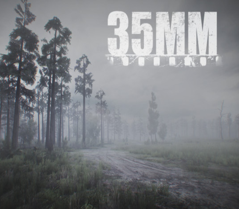 35MM PC Steam Ключ