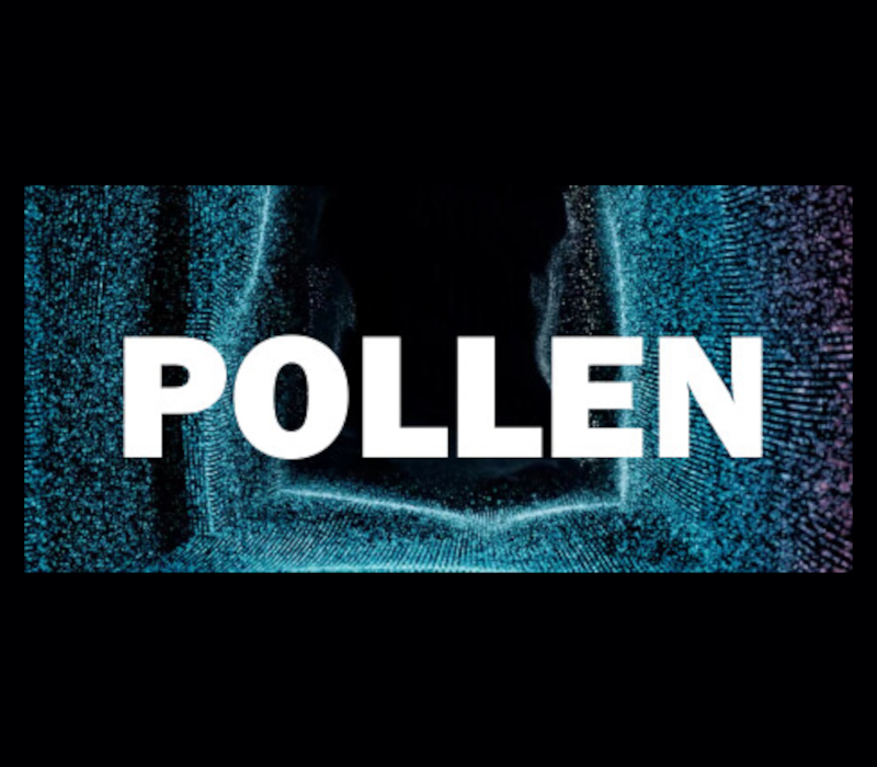 Pollen PC Steam Ключ