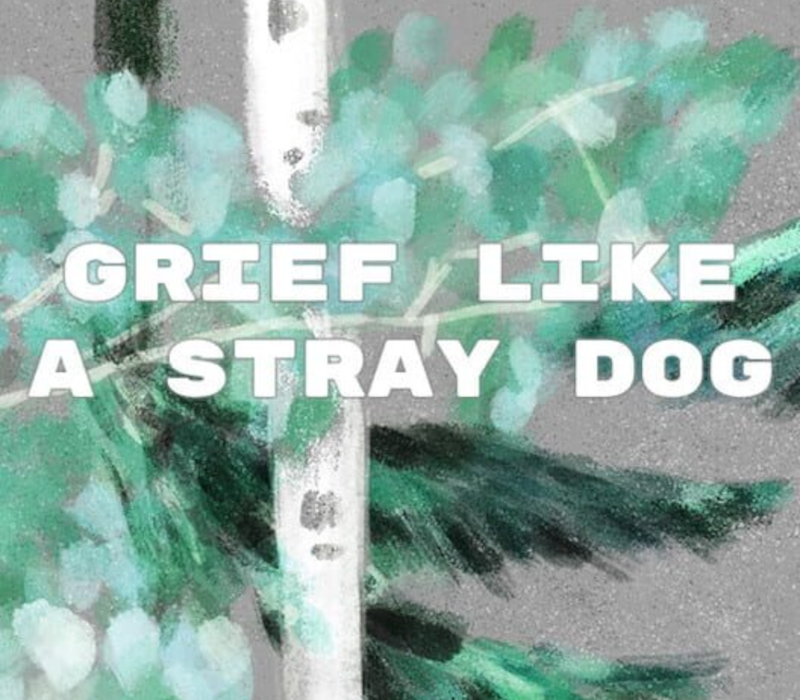 Grief like a stray dog PC Steam Ключ
