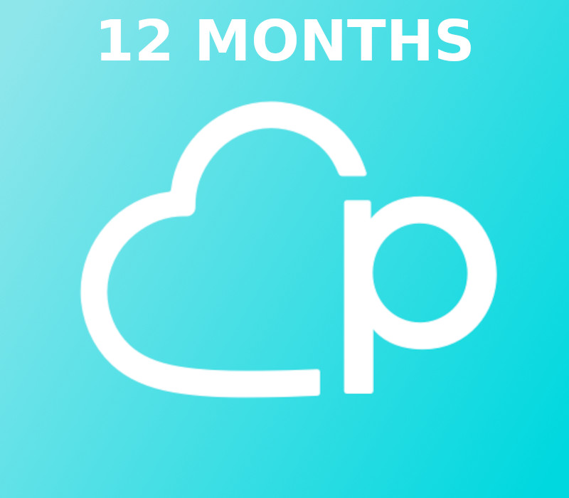 Pairs 12 мес. Subscription Ключ JP