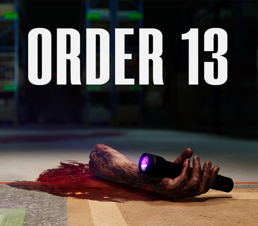 ORDER 13 EU PC Steam Ключ