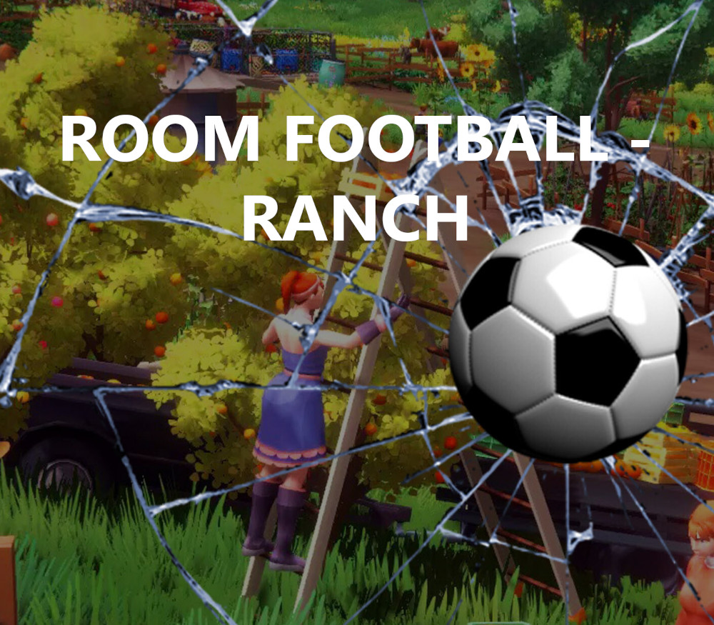 ROOM FOOTBALL: Ranch PC Steam Ключ