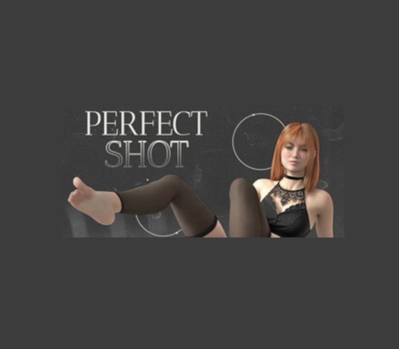Perfect Shot PC Steam Ключ
