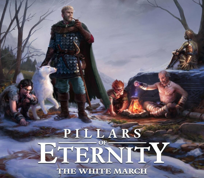 Pillars of Eternity: Hero издание + The White March (Part 1) Steam Ключ