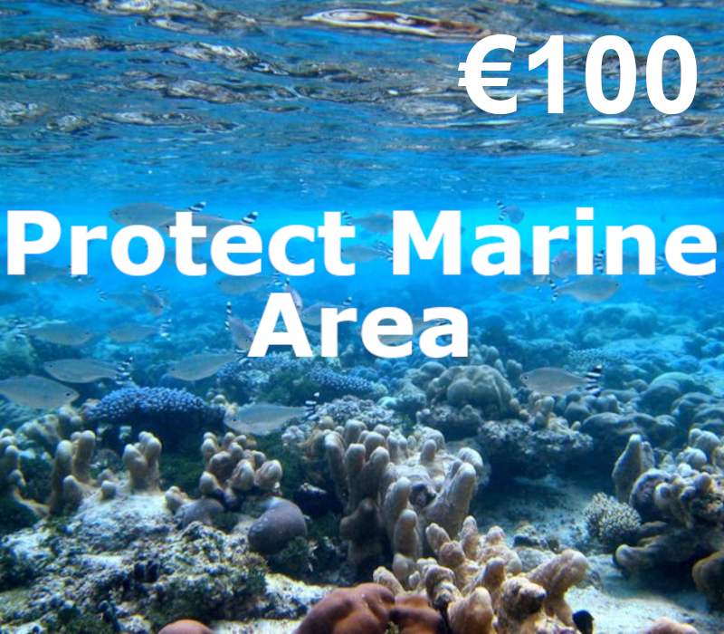 Dots.eco - Protect Marine Area EUR 100 Подарочная карта NL