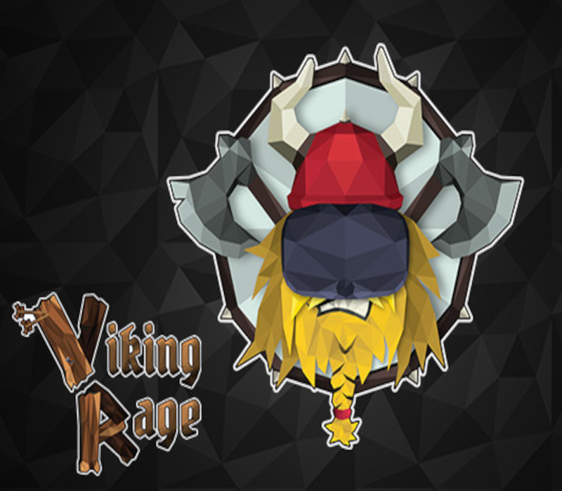Viking Rage VR PC Steam Ключ