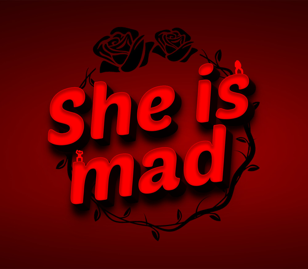 She is mad PC Steam Ключ