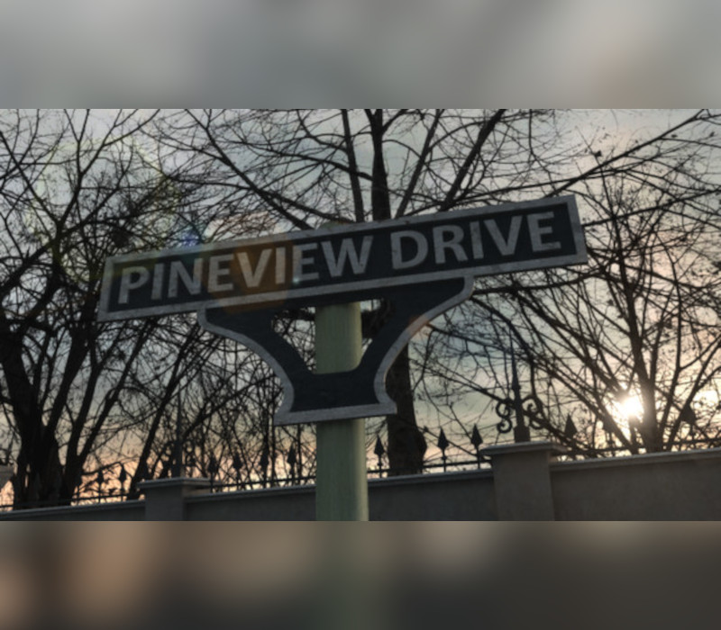 Pineview Drive EU PC Steam Ключ