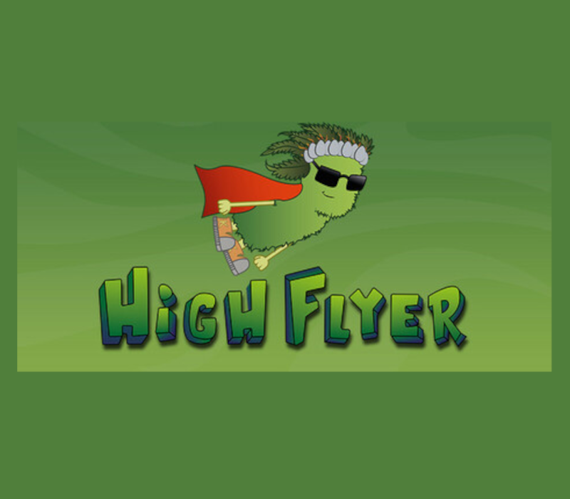 High Flyer PC Steam Ключ