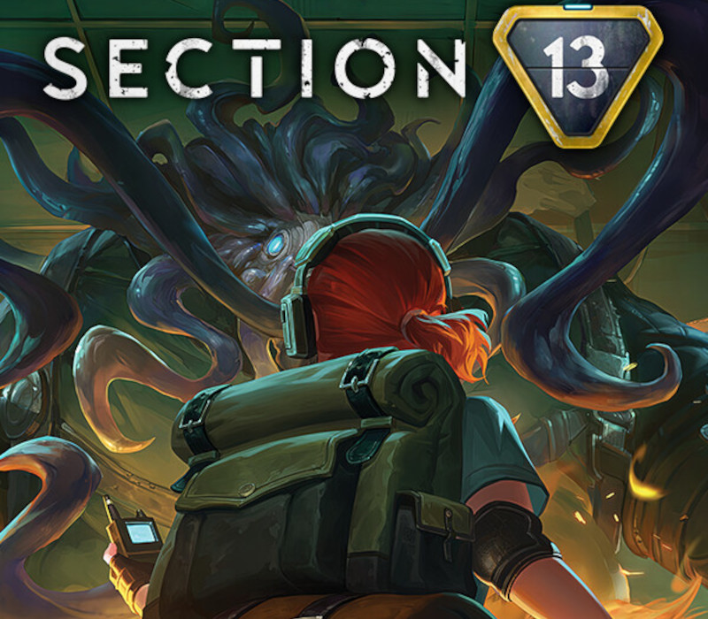 Section 13 PC Steam Ключ