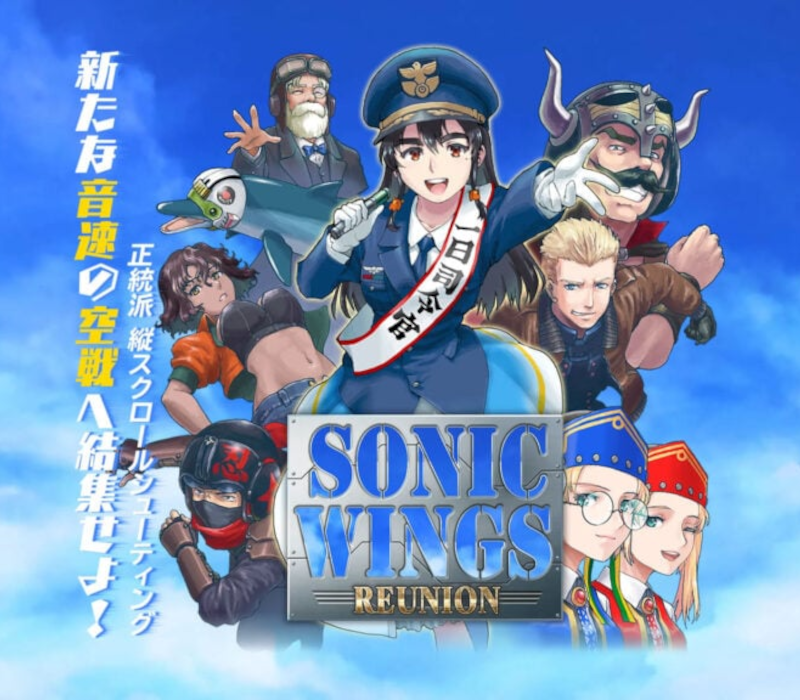 Sonic Wings Reunion EU Nintendo Switch Ключ