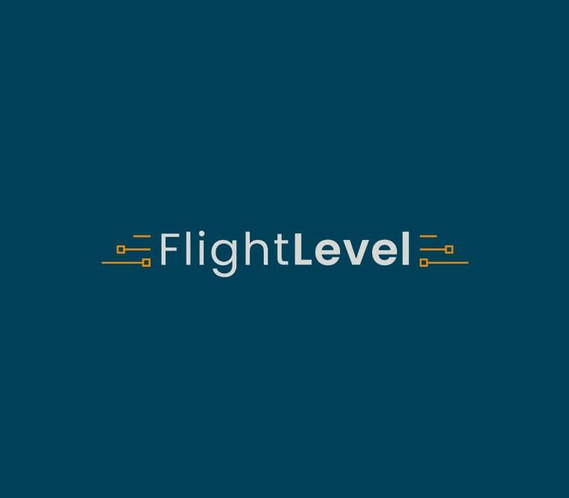 Flight Level PC Steam Ключ