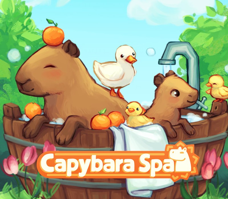 Capybara Spa PC Steam Ключ