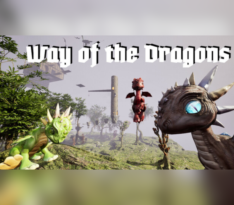 Way of the Dragons PC Steam Ключ