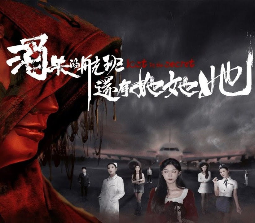 Lost in the secret! PC Steam Ключ