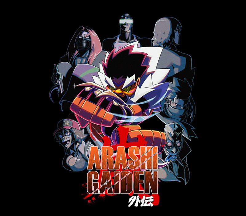 Arashi Gaiden PC Steam Ключ