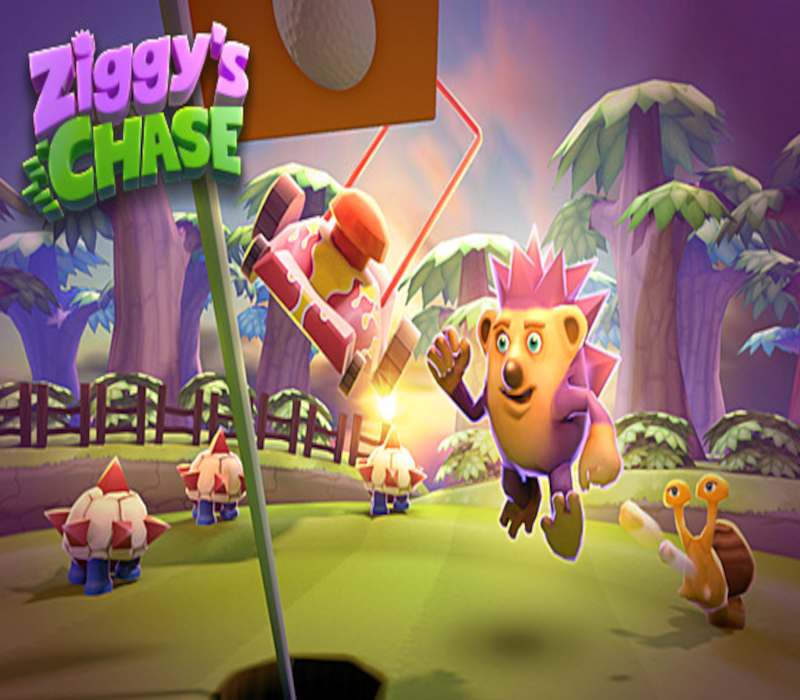 Ziggy's Chase PC Steam Ключ