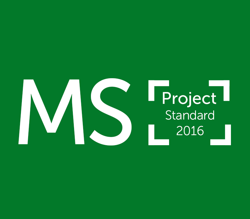 MS Project Standard 2016 Ключ