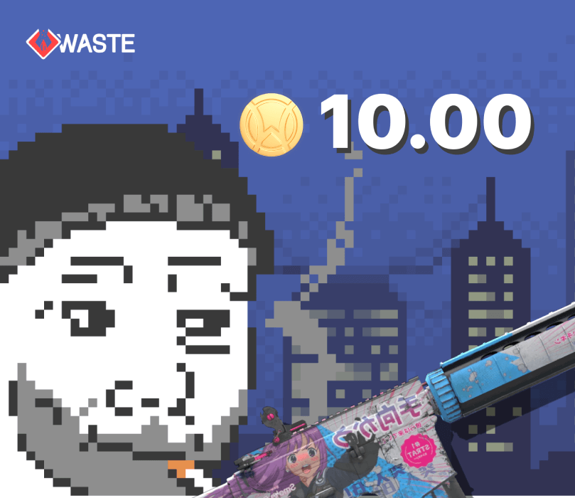 Skinwaste 10 Coins Подарочная карта