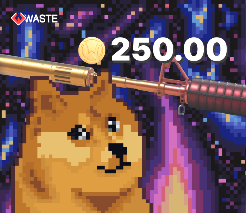 Skinwaste 250 Coins Подарочная карта