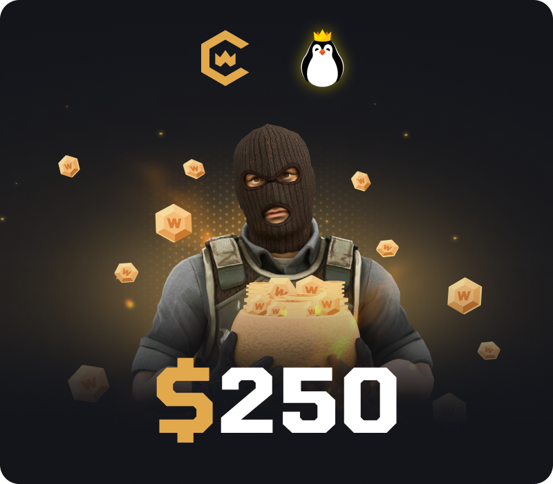 CSGOWin $250 Подарочная карта