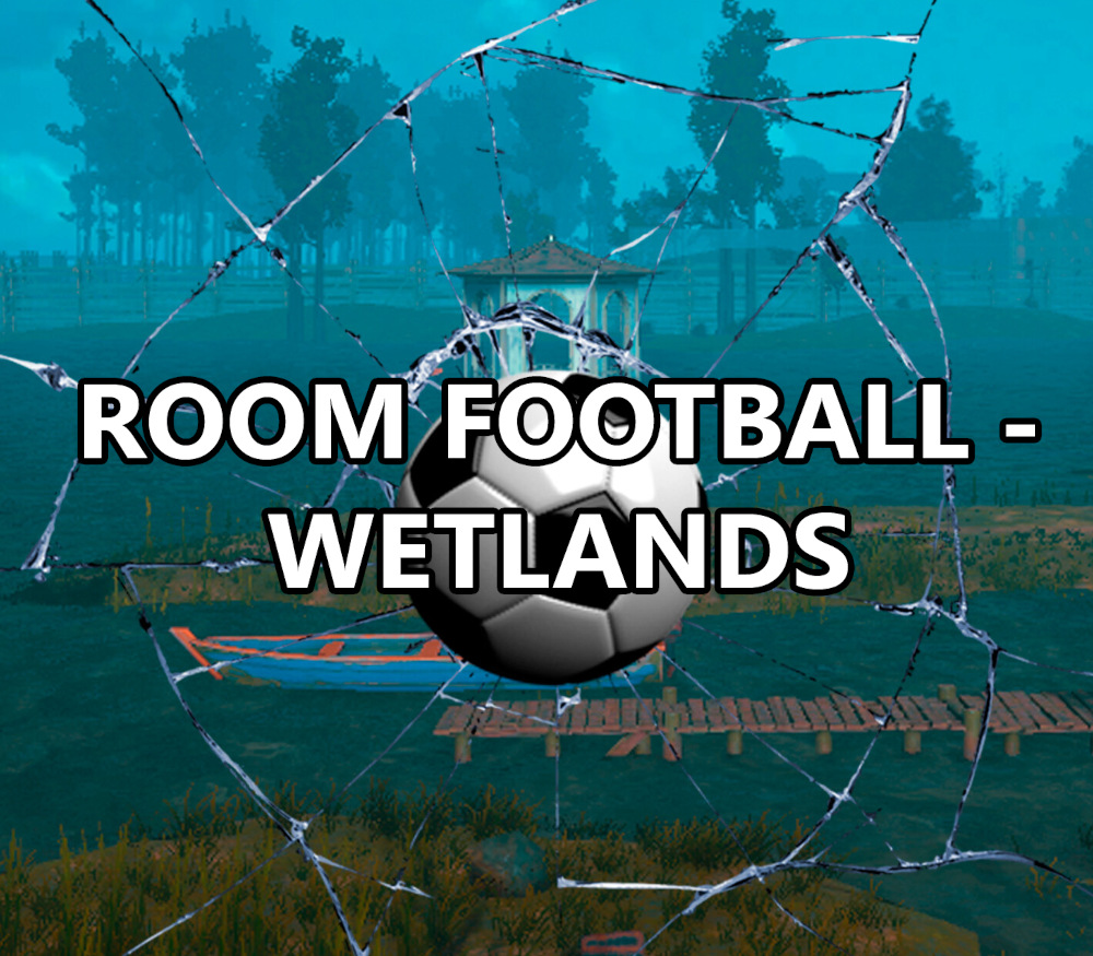 ROOM FOOTBALL: Wetlands PC Steam Ключ