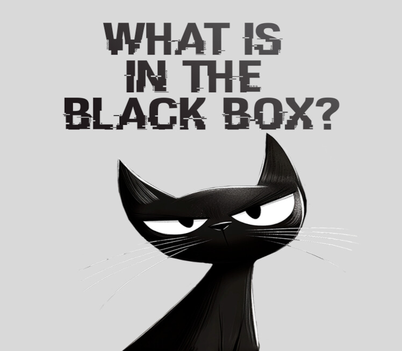 What is in the Black Box? PC Steam Ключ