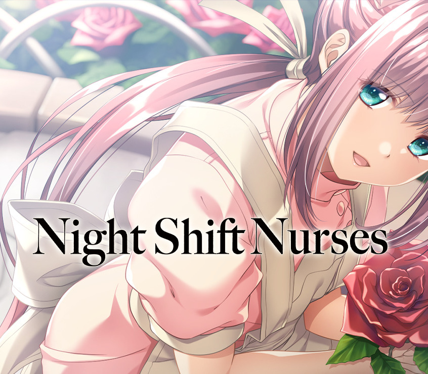Night Shift Nurses PC Steam Ключ