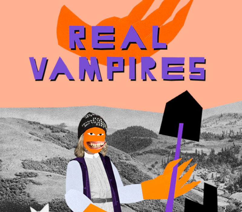 Real Vampires PC Steam Ключ
