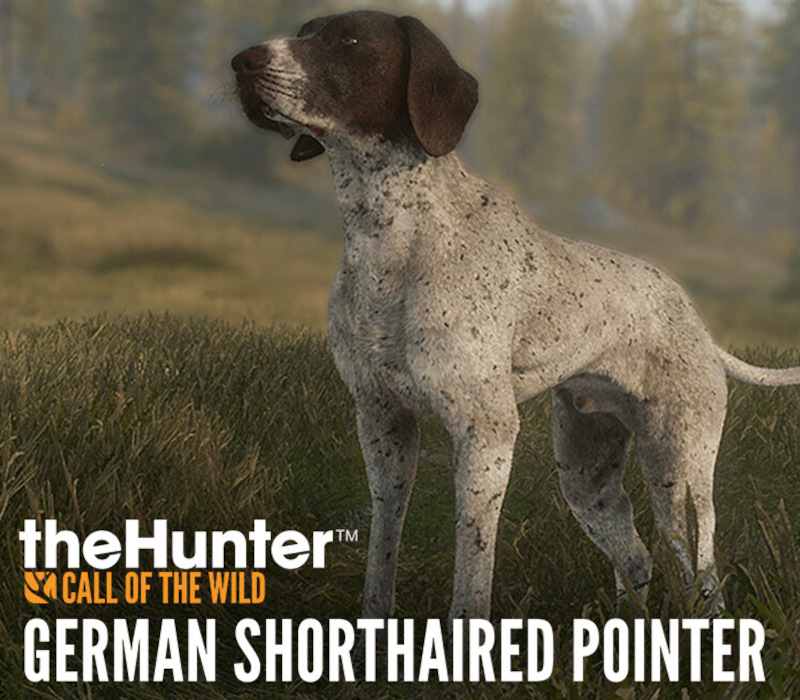 theHunter: Call of the Wild - German Shorthaired Pointer DLC PC Steam Ключ