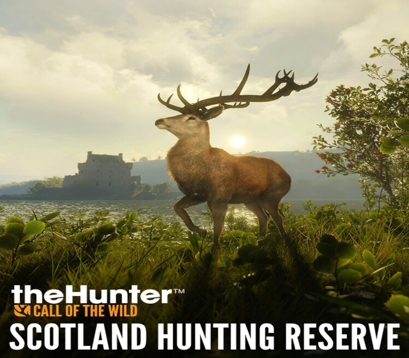 theHunter: Call of the Wild - Scotland Hunting Reserve DLC PC Steam Ключ