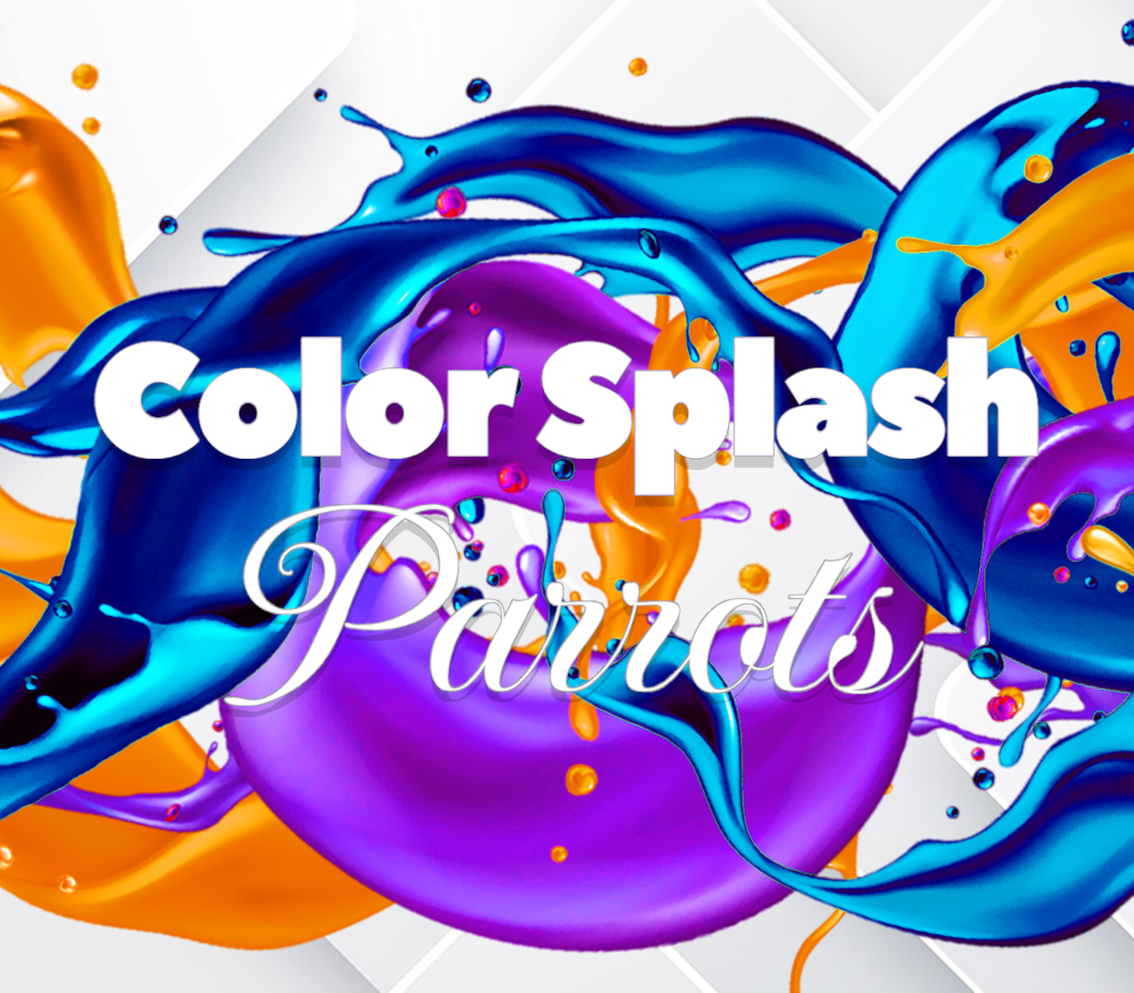 Color Splash: Parrots PC Steam Ключ