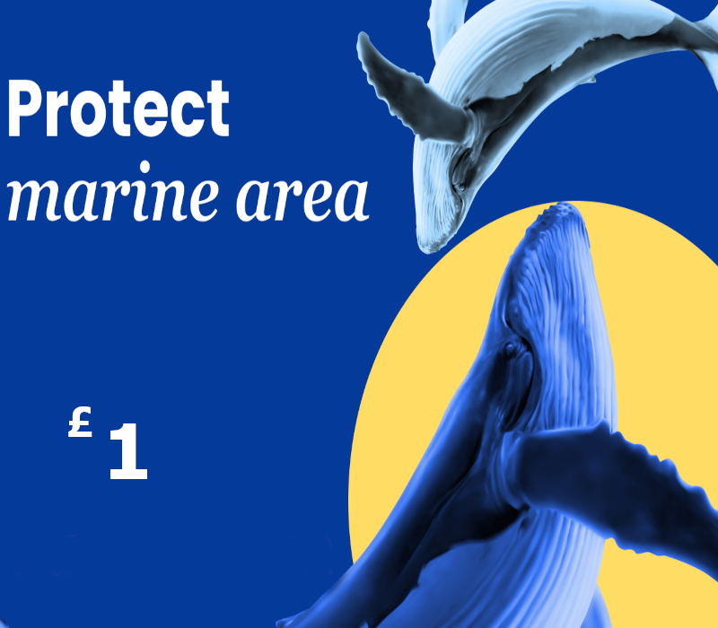 Dots.eco - Protect Marine Area GBP 1 Подарочная карта UK