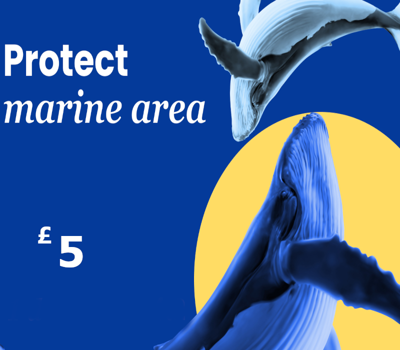 Dots.eco - Protect Marine Area GBP 5 Подарочная карта UK