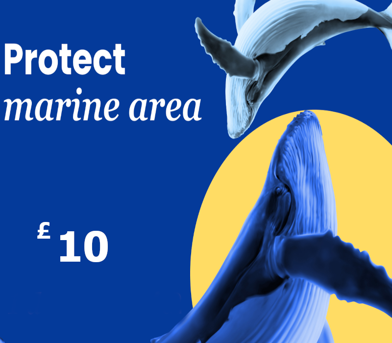 Dots.eco - Protect Marine Area GBP 10 Подарочная карта UK