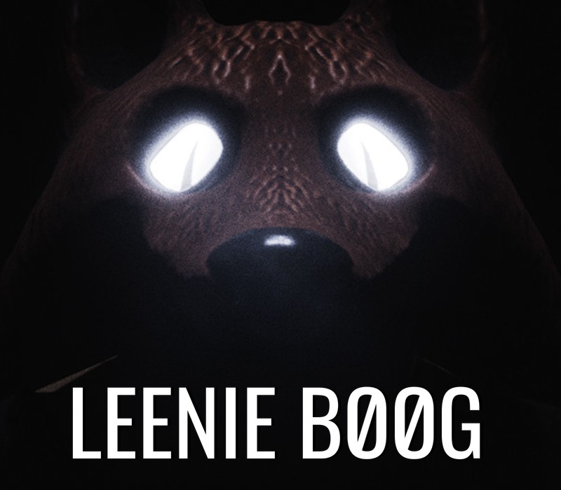 Leenie Boog PC Steam CD Key