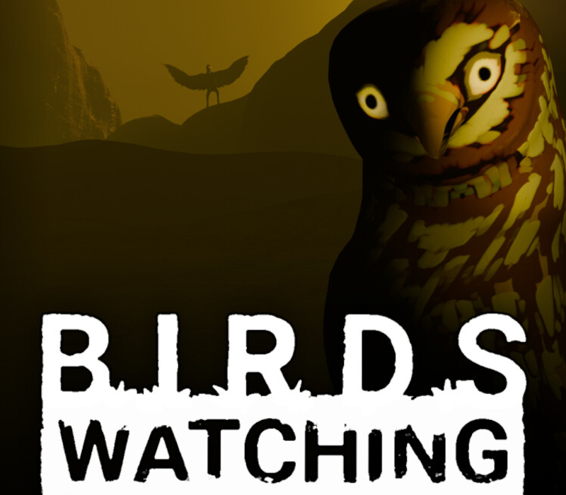 Birds Watching PC Steam Ключ