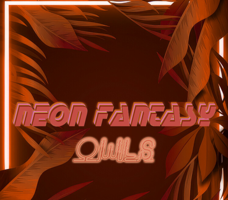 Neon Fantasy: Owls PC Steam Ключ