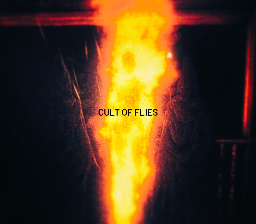 CULT OF FLIES PC Steam Ключ