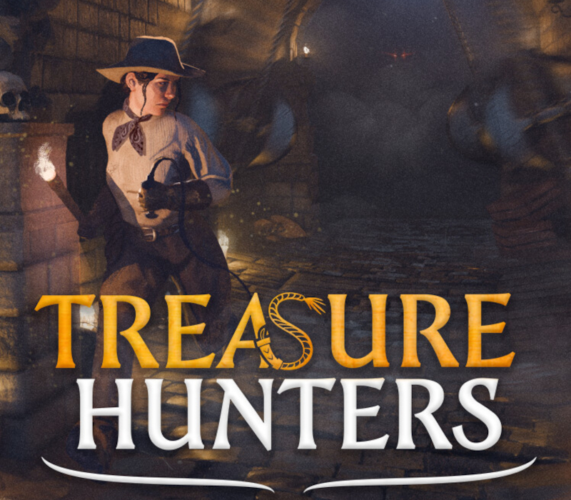 Treasure Hunters PC Steam Ключ