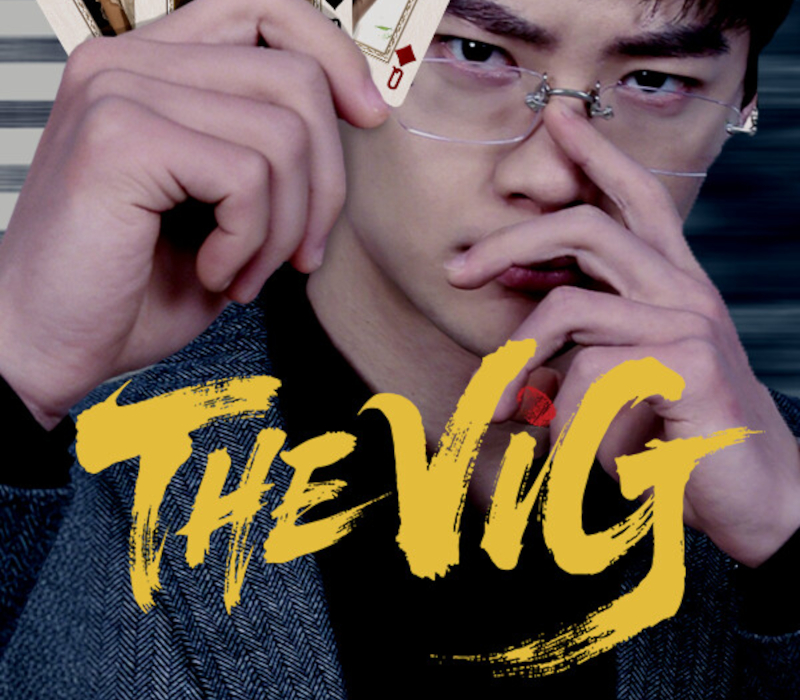 THE VIG PC Steam Ключ