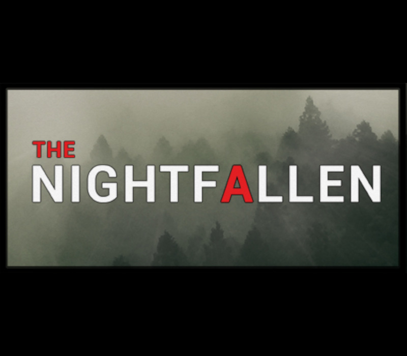 NIGHT FALLEN PC Steam Ключ